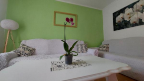 Orhideja/Orchid